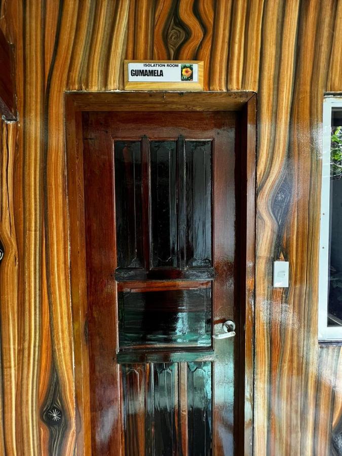 Balay Paragua إل نيدو المظهر الخارجي الصورة
